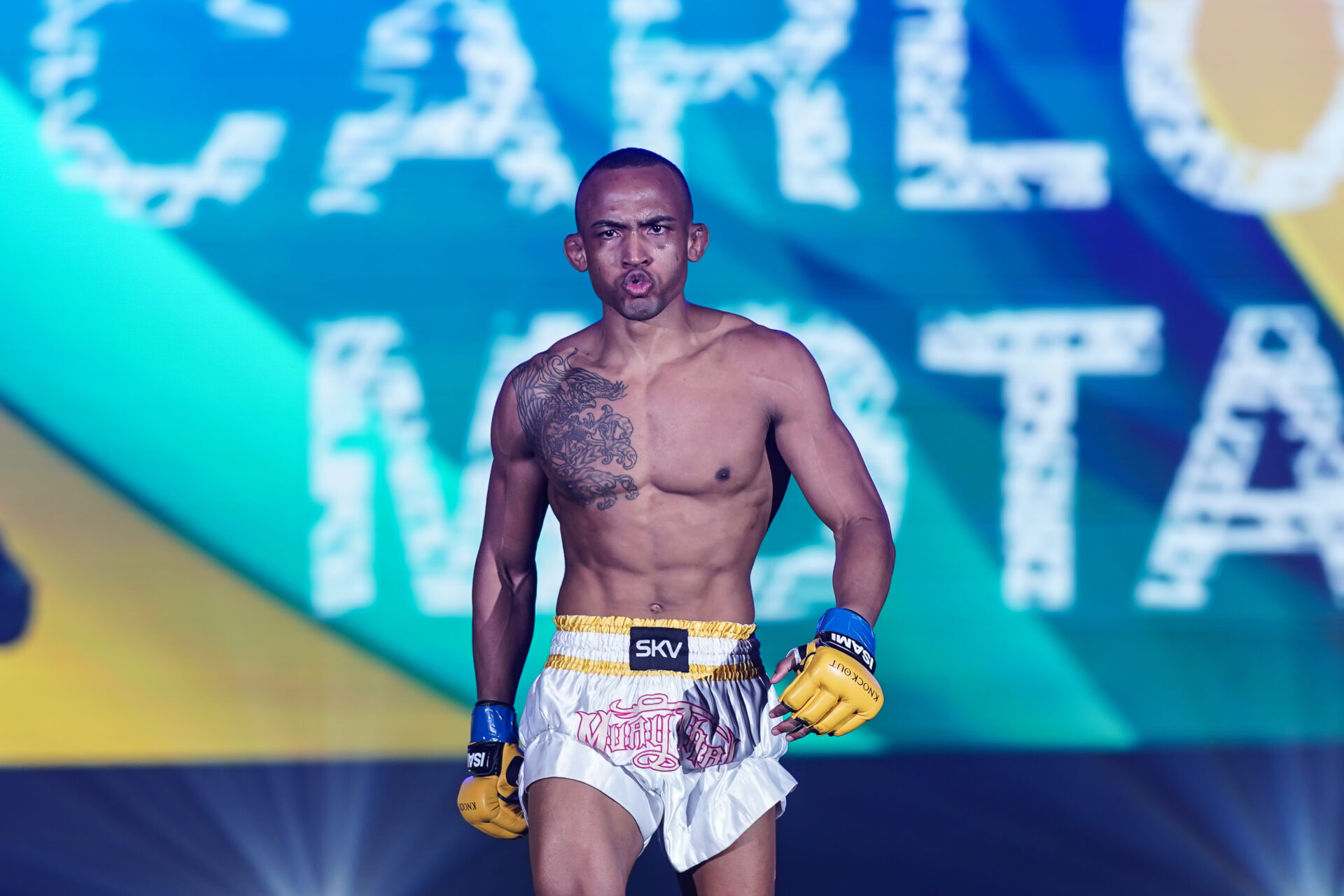 THE KNOCK OUT｜カルロス・モタ インタビュー公開！