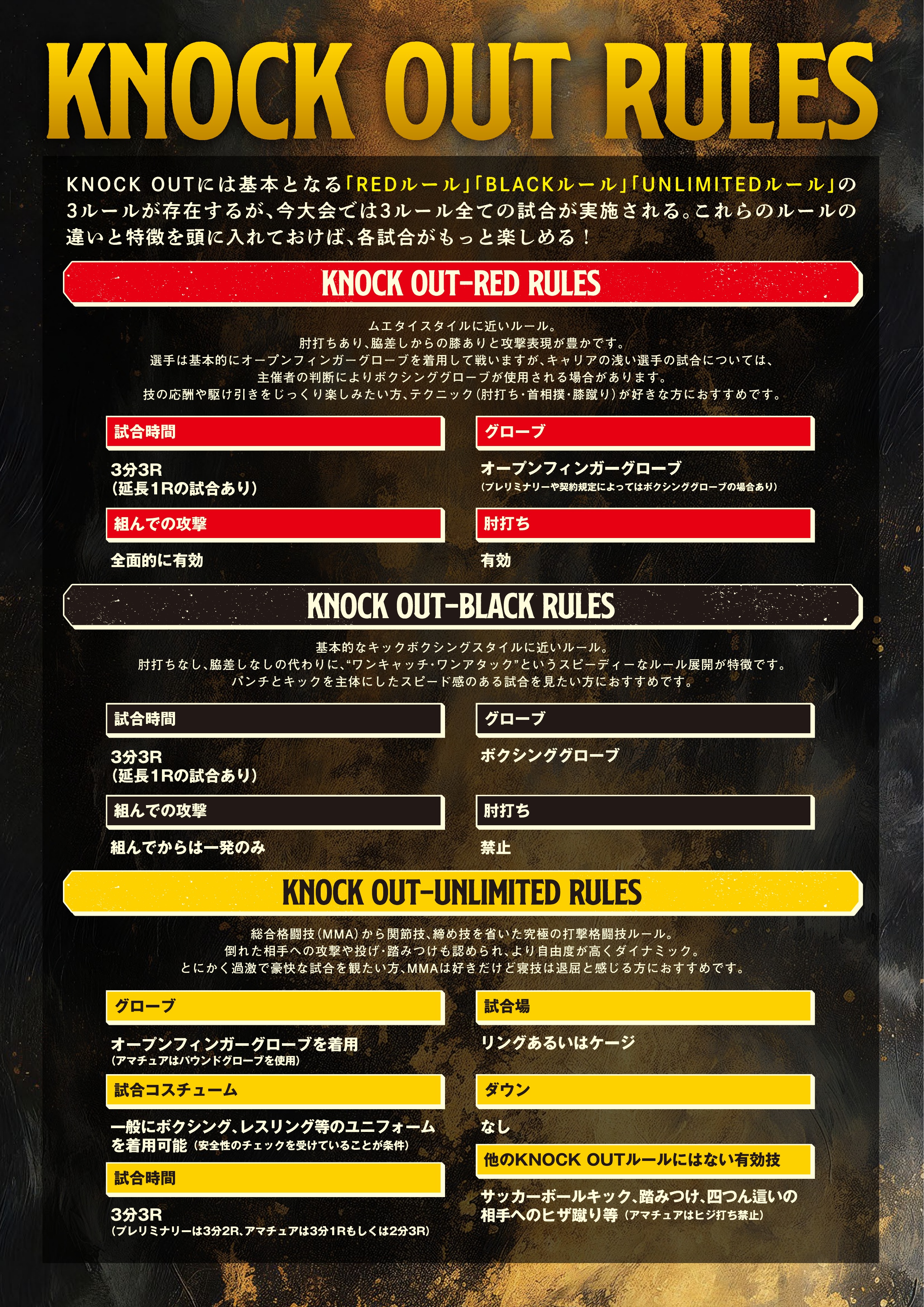 パンフレット 24ページ